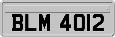 BLM4012