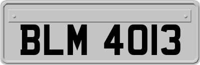 BLM4013