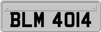 BLM4014