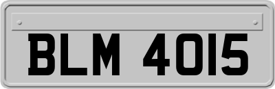 BLM4015