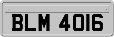 BLM4016