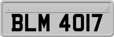 BLM4017