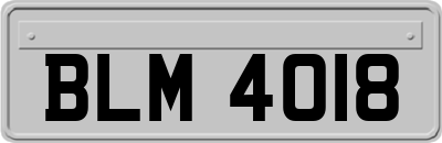 BLM4018