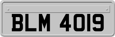 BLM4019