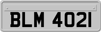 BLM4021