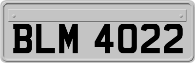 BLM4022