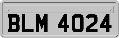 BLM4024