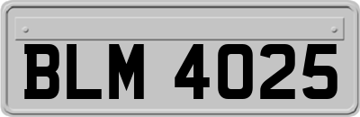 BLM4025