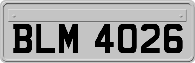 BLM4026