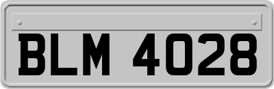 BLM4028