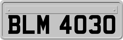 BLM4030