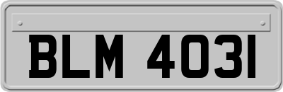 BLM4031