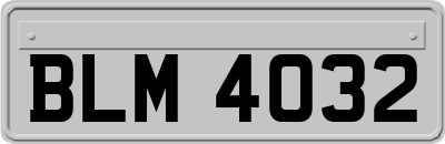 BLM4032