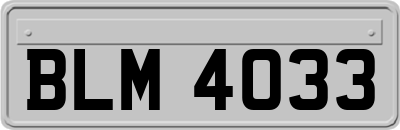 BLM4033