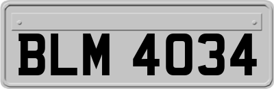 BLM4034