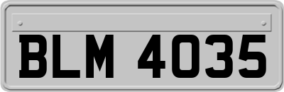 BLM4035