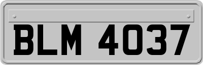 BLM4037