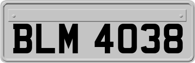 BLM4038