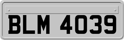 BLM4039