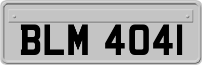 BLM4041