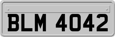 BLM4042