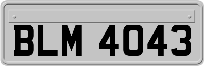 BLM4043