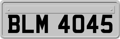 BLM4045