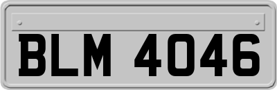 BLM4046