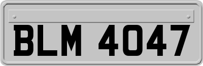 BLM4047
