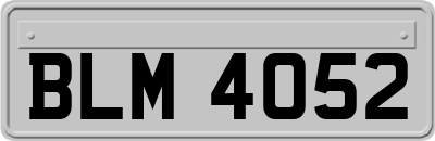 BLM4052