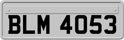 BLM4053