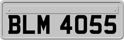 BLM4055