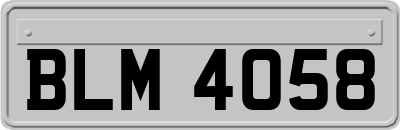 BLM4058