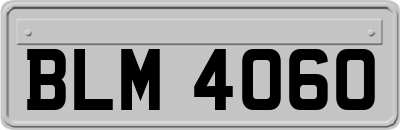 BLM4060