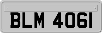 BLM4061