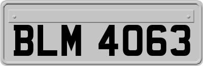BLM4063