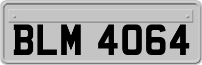 BLM4064