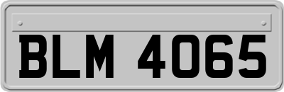 BLM4065