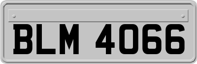 BLM4066