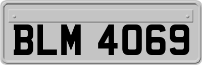 BLM4069