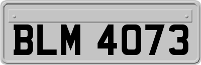BLM4073