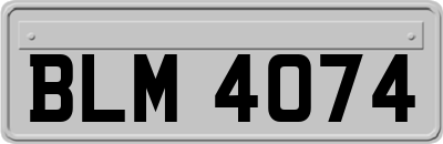 BLM4074