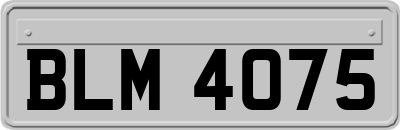 BLM4075