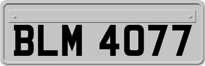 BLM4077