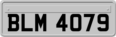 BLM4079