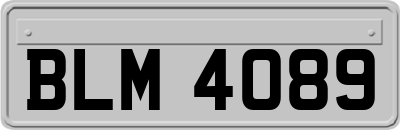 BLM4089