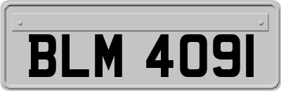 BLM4091