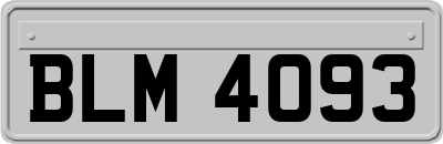 BLM4093