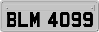 BLM4099