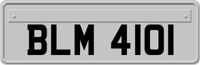 BLM4101